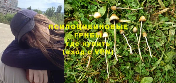 PSILOCYBIN Нея