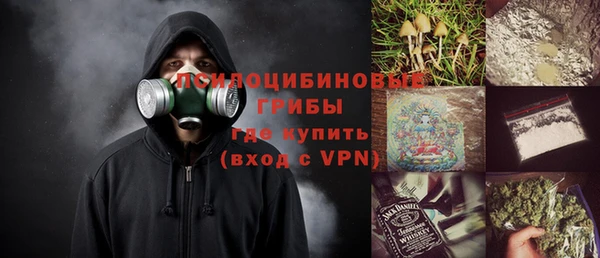 PSILOCYBIN Нея