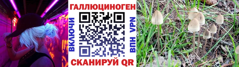 Галлюциногенные грибы Magic Shrooms  Евпатория 