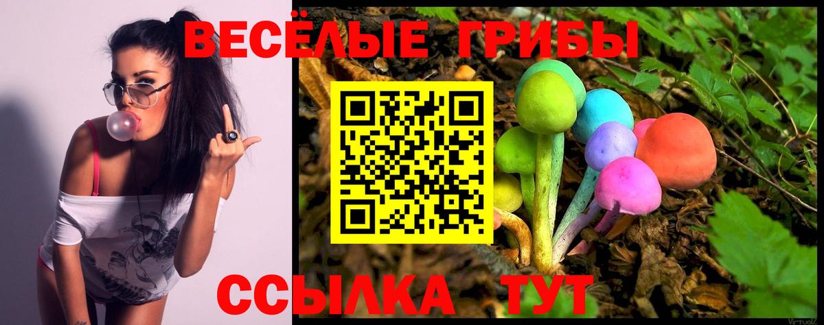 сколько стоит  Вход с VPN  Евпатория  Псилоцибиновые грибы Cubensis 
