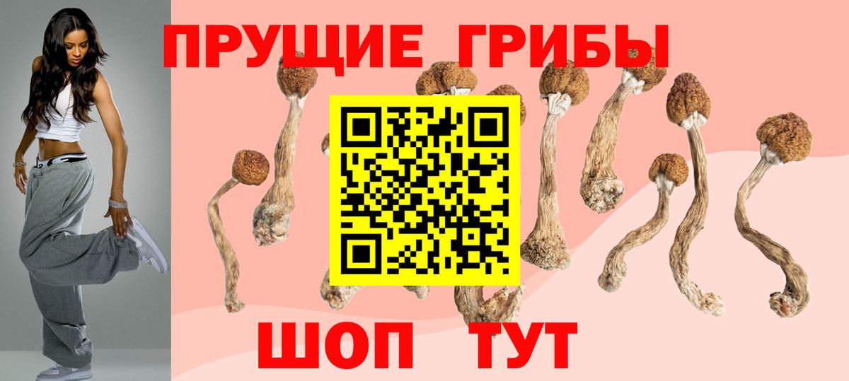 Галлюциногенные грибы Psilocybe Евпатория